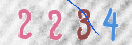 Code Anti-spam