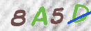 Code Anti-spam