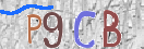 Code Anti-spam
